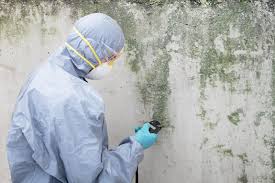 Forensic Mold Investigation in Governors Clu, NC